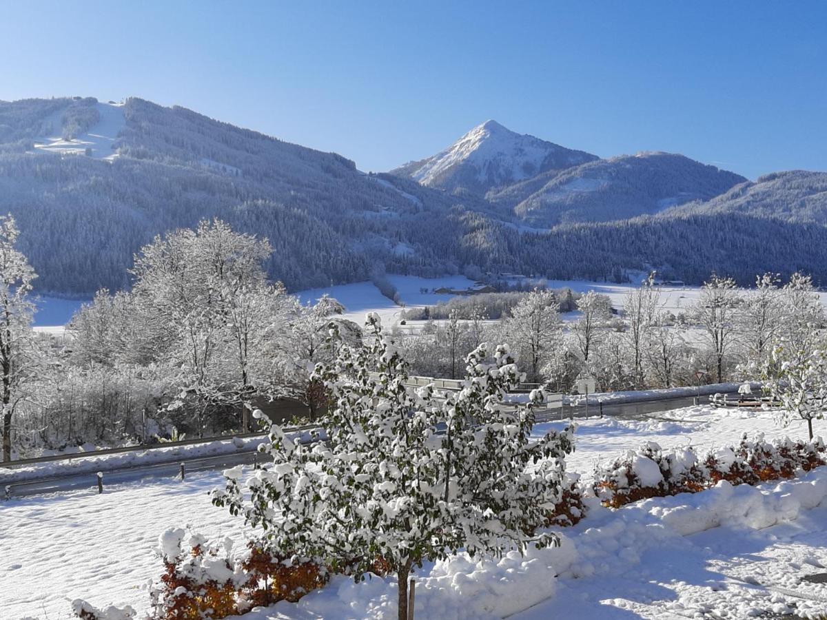 Filzerlehen Villa Radstadt Eksteriør bilde